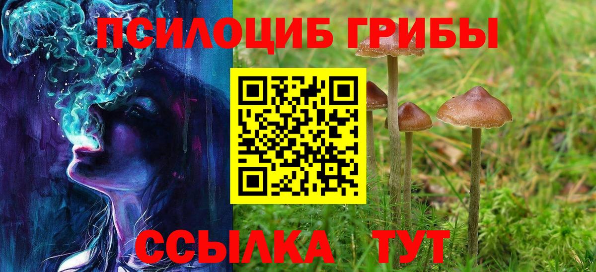 Мелеуз  Псилоцибиновые грибы MAGIC MUSHROOMS  Вход с VPN 